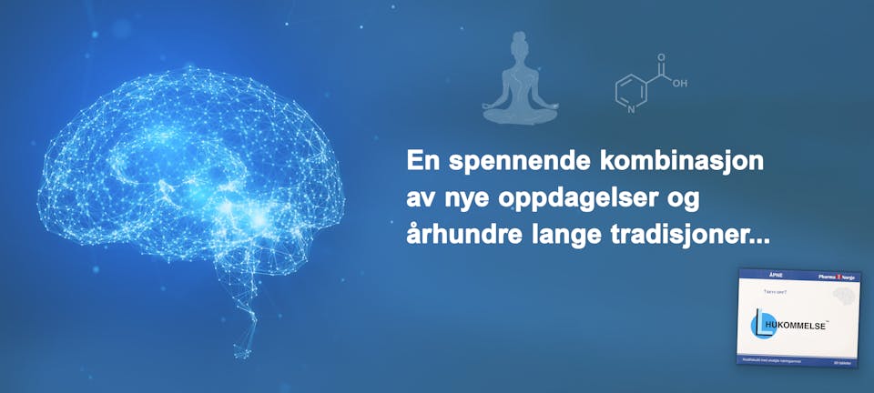 Digital illustrasjon av en hjerne og L-Hukommelse-emballasje – kombinasjon av tradisjon og moderne kunnskap med blant annet Bacopa Monnieri